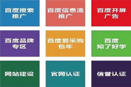 信息流广告公司案例分析：精准投放策略解析